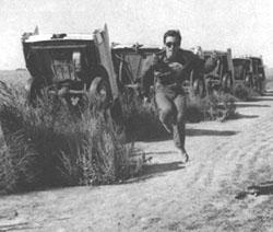 cadillac ranch